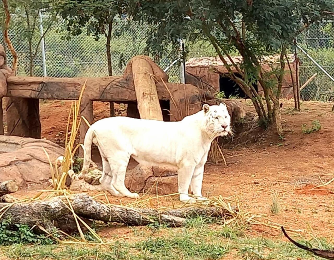 Pumbaa Wildlife Park & Accommodation Mbombela Ngoại thất bức ảnh