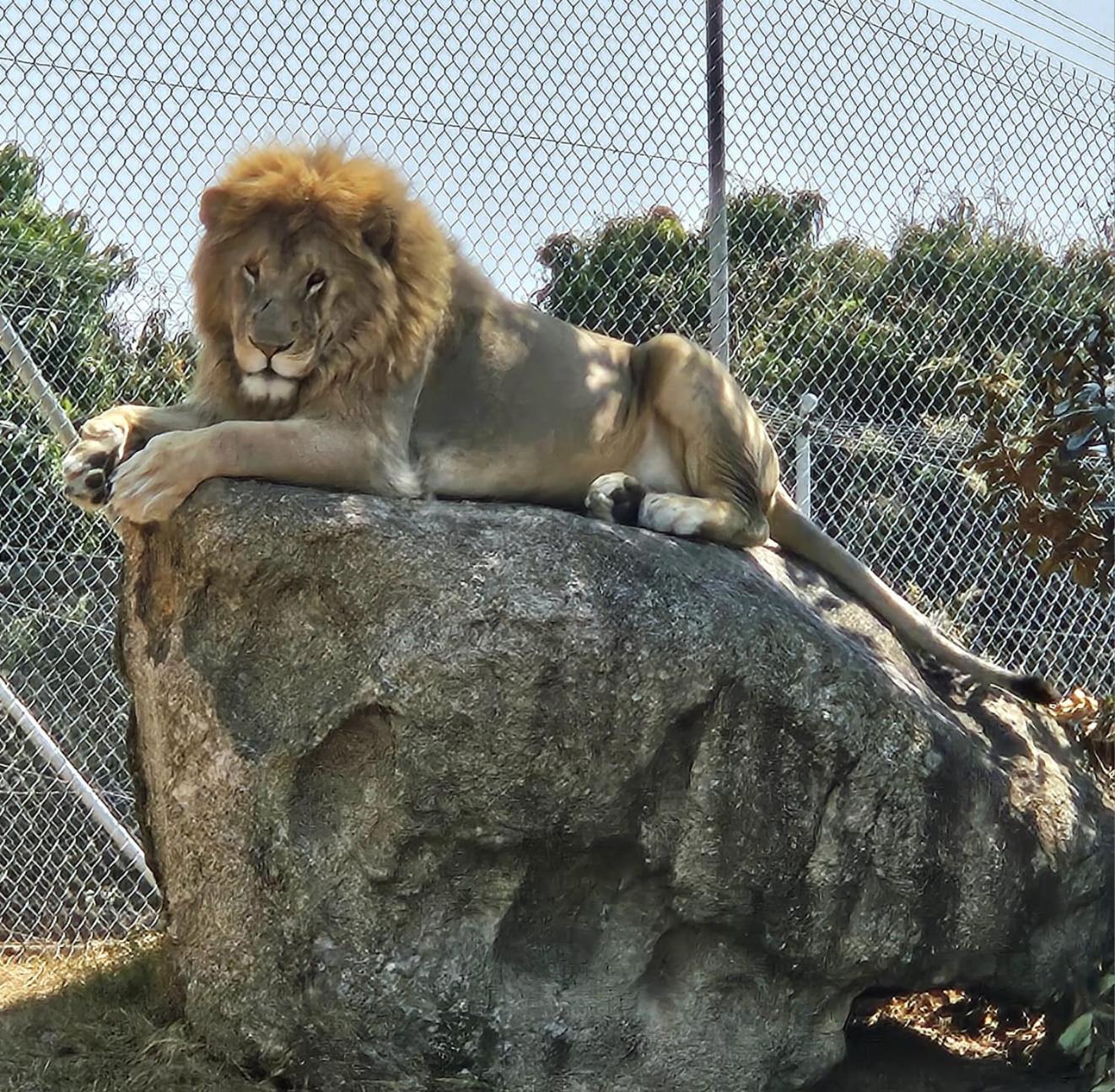 Pumbaa Wildlife Park & Accommodation Mbombela Ngoại thất bức ảnh